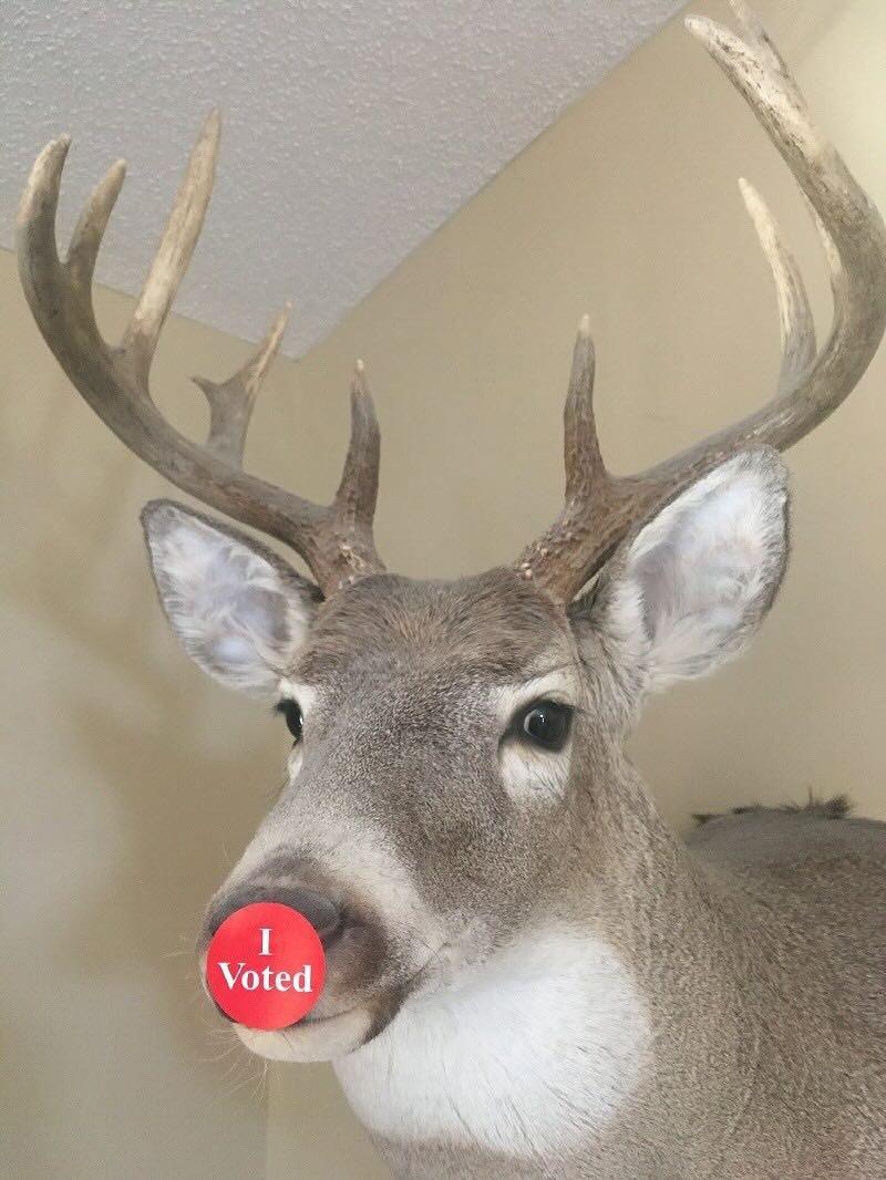 Buck I voted sticker