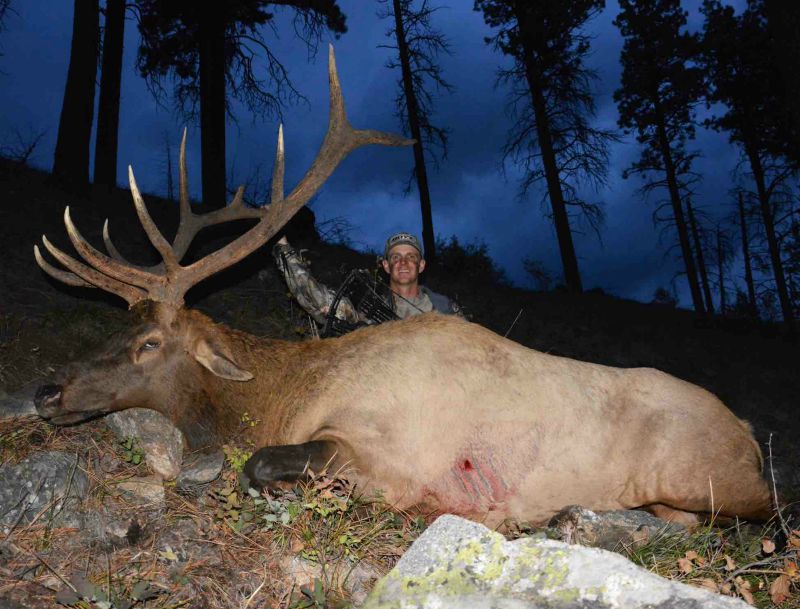 bowhunting Idaho elk