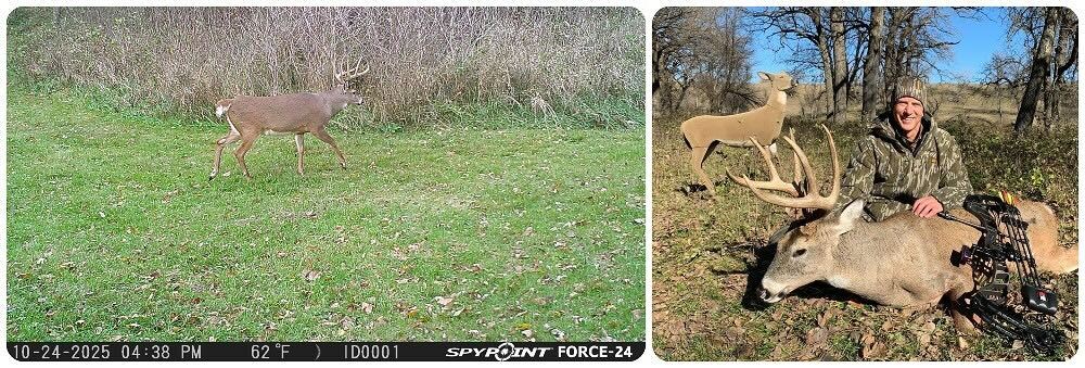 Dave 2025 SD trail cam buck 11 2