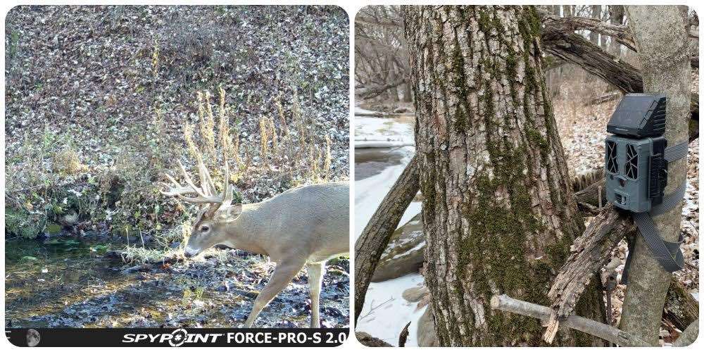 Force Pro S collage