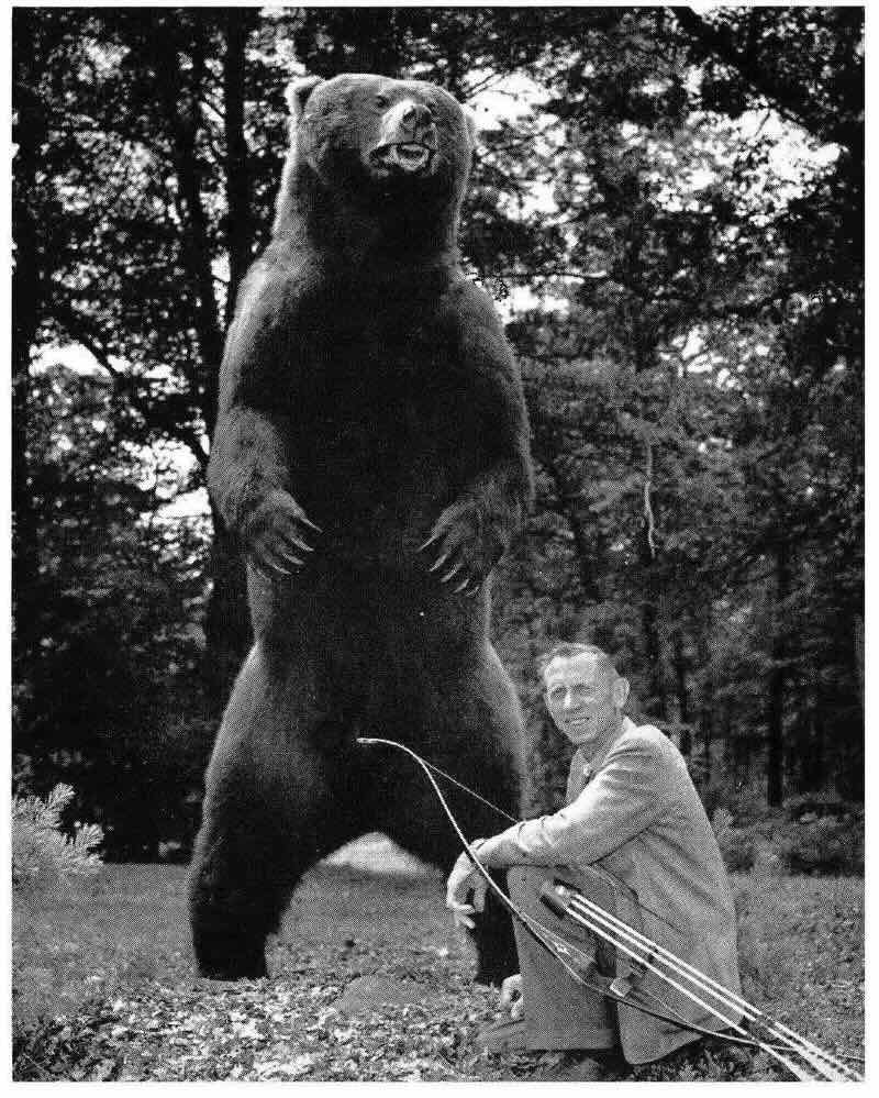 Fred Bear Kodiak brown bear mount