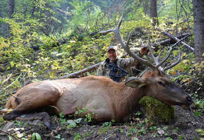 bowhunting Idaho elk