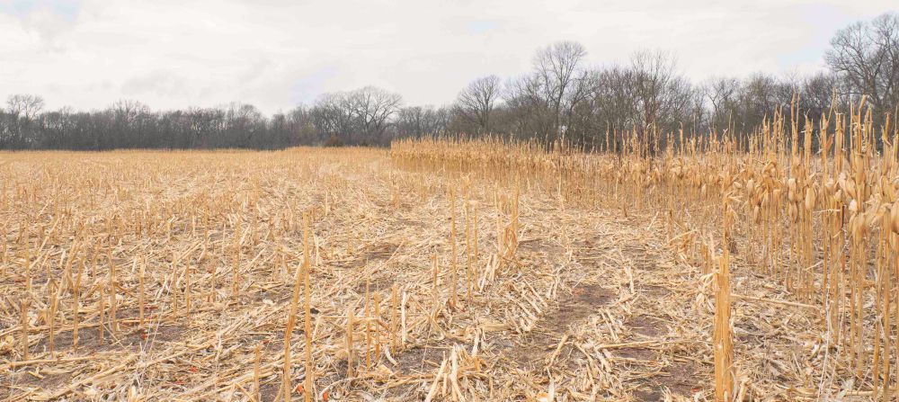 public land