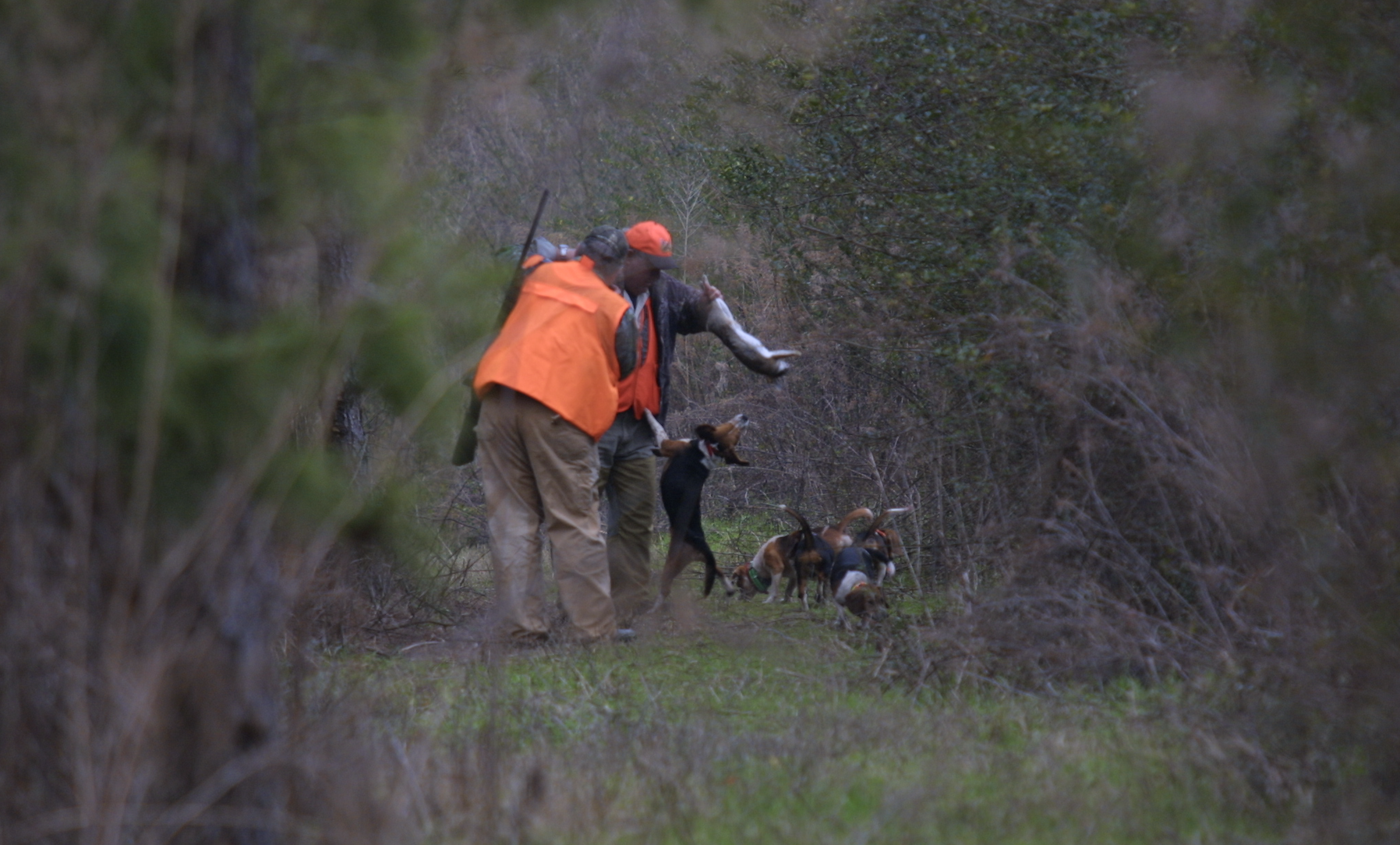 Hunter Missing Rabbit How to Skin and Process a Rabbit | Grand View Outdoors