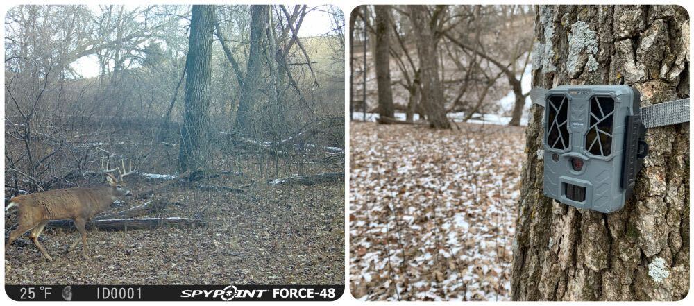 Spypoint Force 48 collage