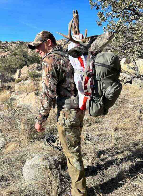 Web packing Coues deer