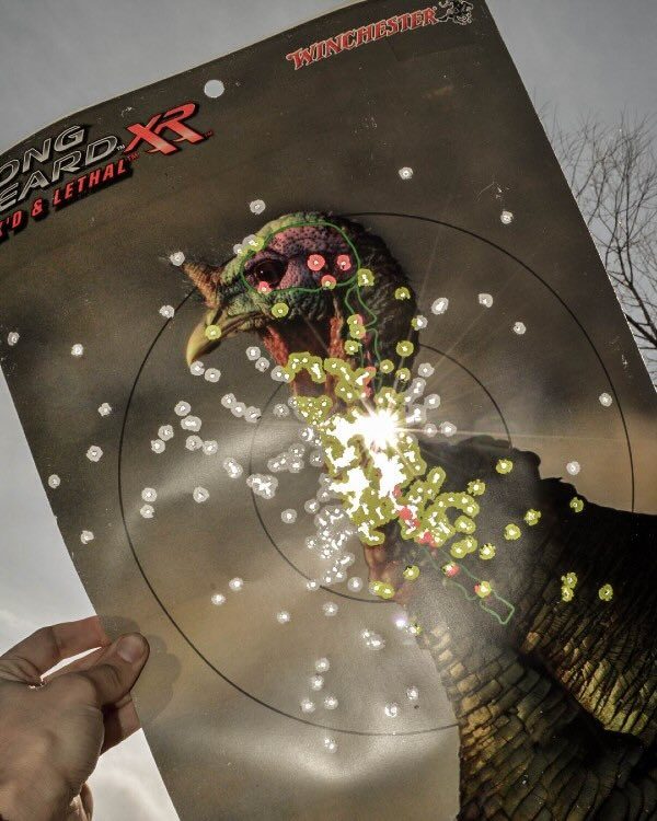Winchester ammo turkey target