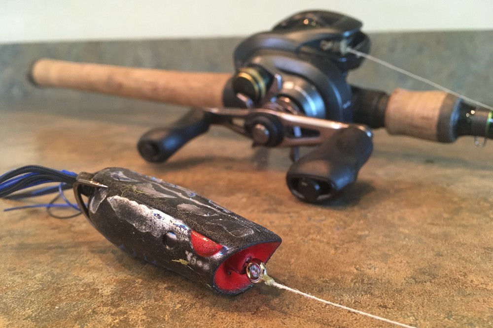 best rod and reel combo for frog fishing Toadfish Elite Surf Rods 3 Tips for Catching Bass