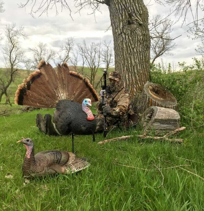 Bowhunter hiding by stump for turkeys