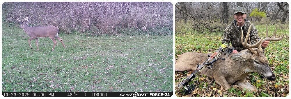 Collage Elliott 2025 trail cam buck 11 7