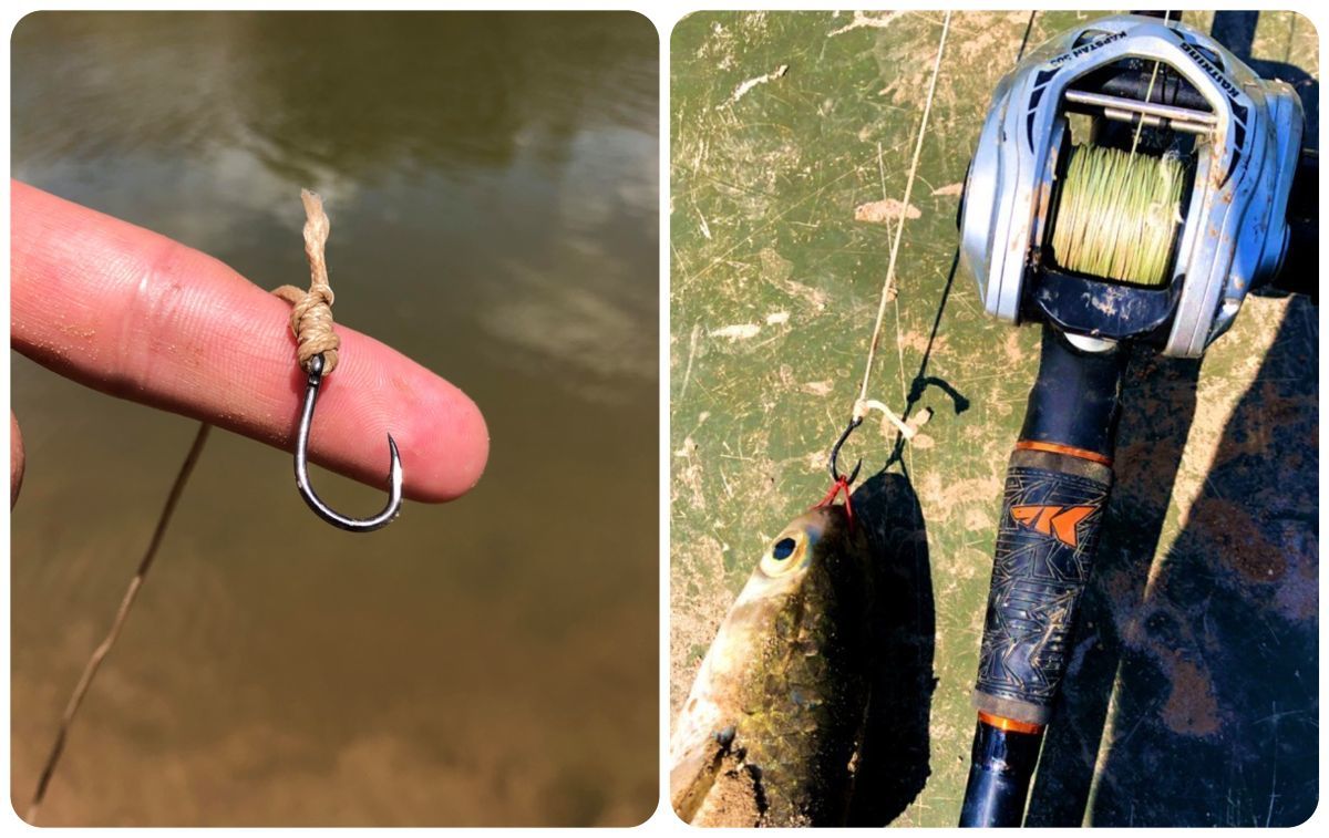 Video: Battling an 8-Foot Alligator Gar | Grand View Outdoors Video: Battling an 8-Foot Alligator Gar | Grand View Outdoors