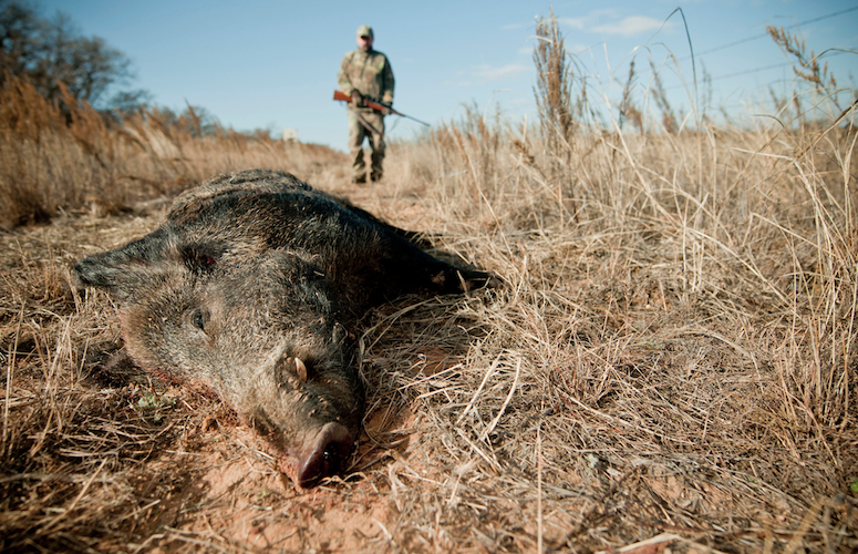 Take Precautions When Cleaning and Butchering | Grand View Outdoors Take Precautions When Cleaning and Butchering | Grand View Outdoors
