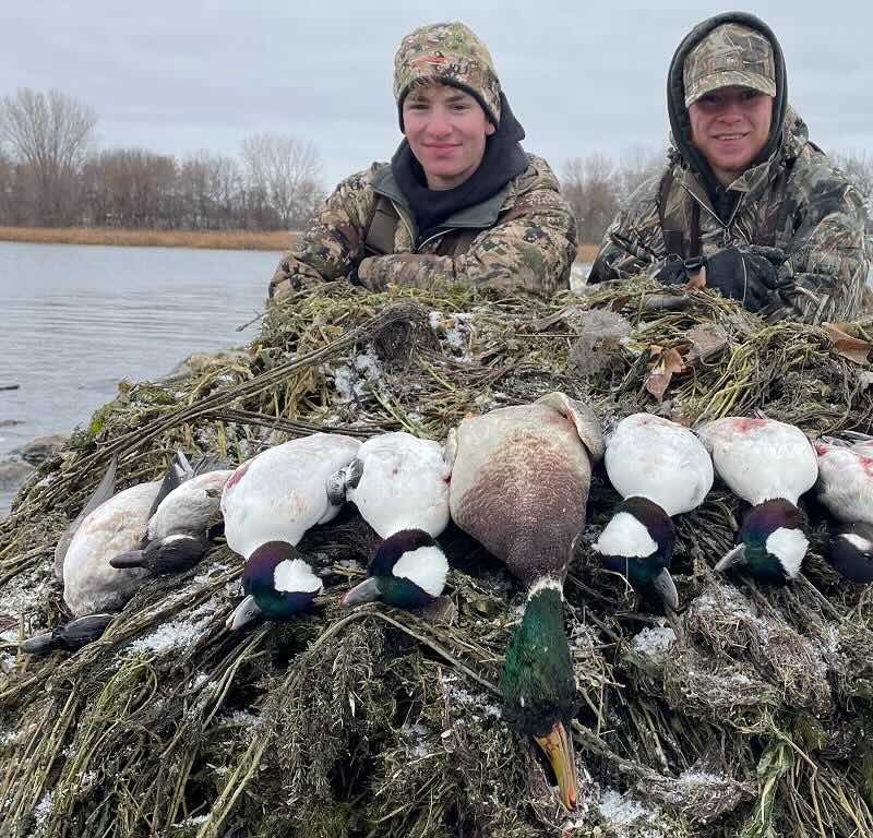 Late season golden eyes and mallard
