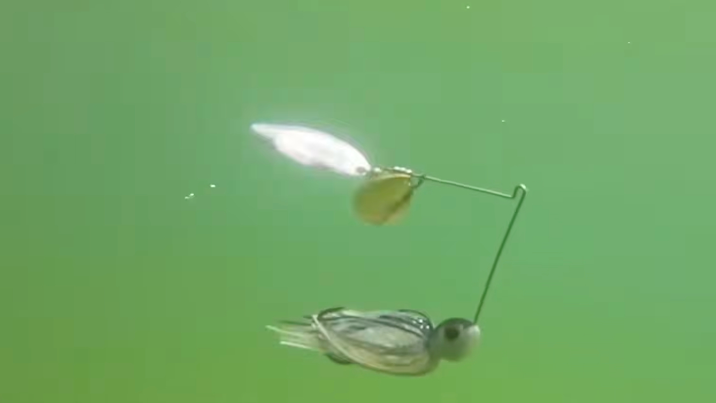 bass lures under water Skylety LED Fishing Fishing Spoons Underwater Flasher Halibut Saltwater Trolling Deep Drop LED Lighted Bait Flasher (5 Pcs) : Sports & Outdoors Cold Water Grub Fishing