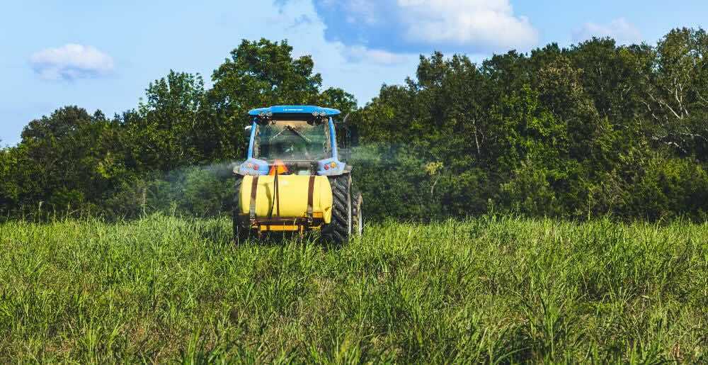 Spraying food plot for weeds