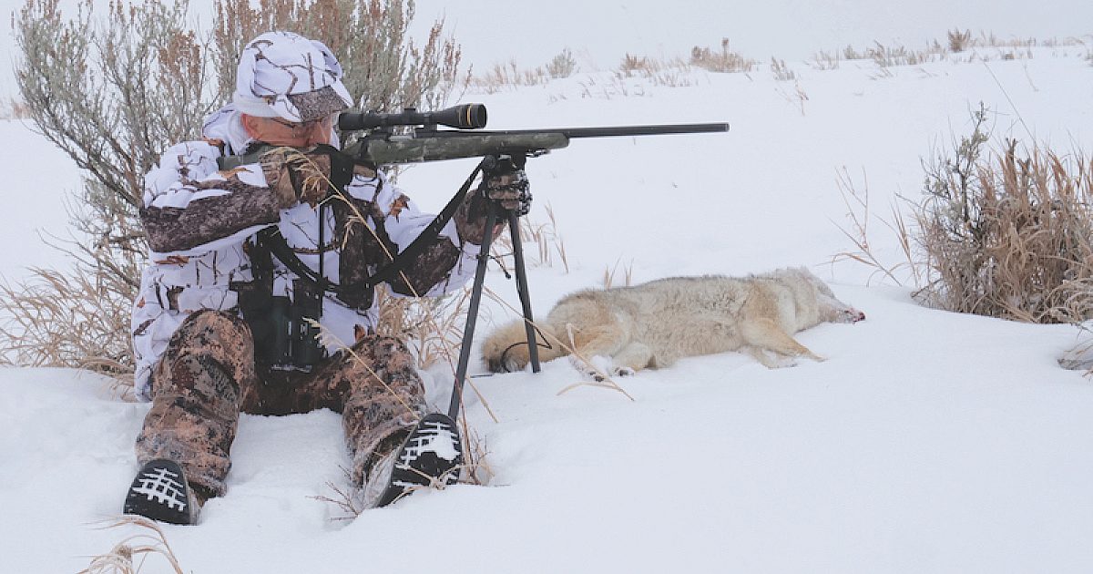 Anatomy of a Predator Rifle | Grand View Outdoors