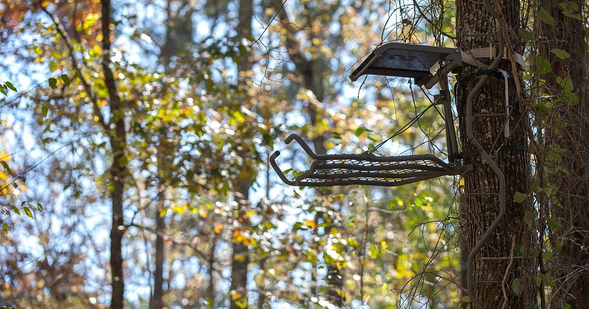 How to safely hang a treestand | Grand View Outdoors