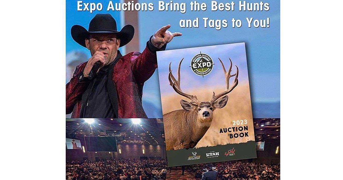 Auction Video: Arizona Mule Deer Tag Sells for… | Grand View Outdoors