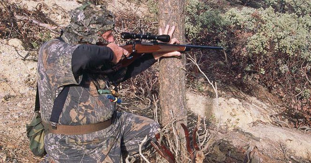9 Easy Tips for Predator-Hunting Success | Grand View Outdoors