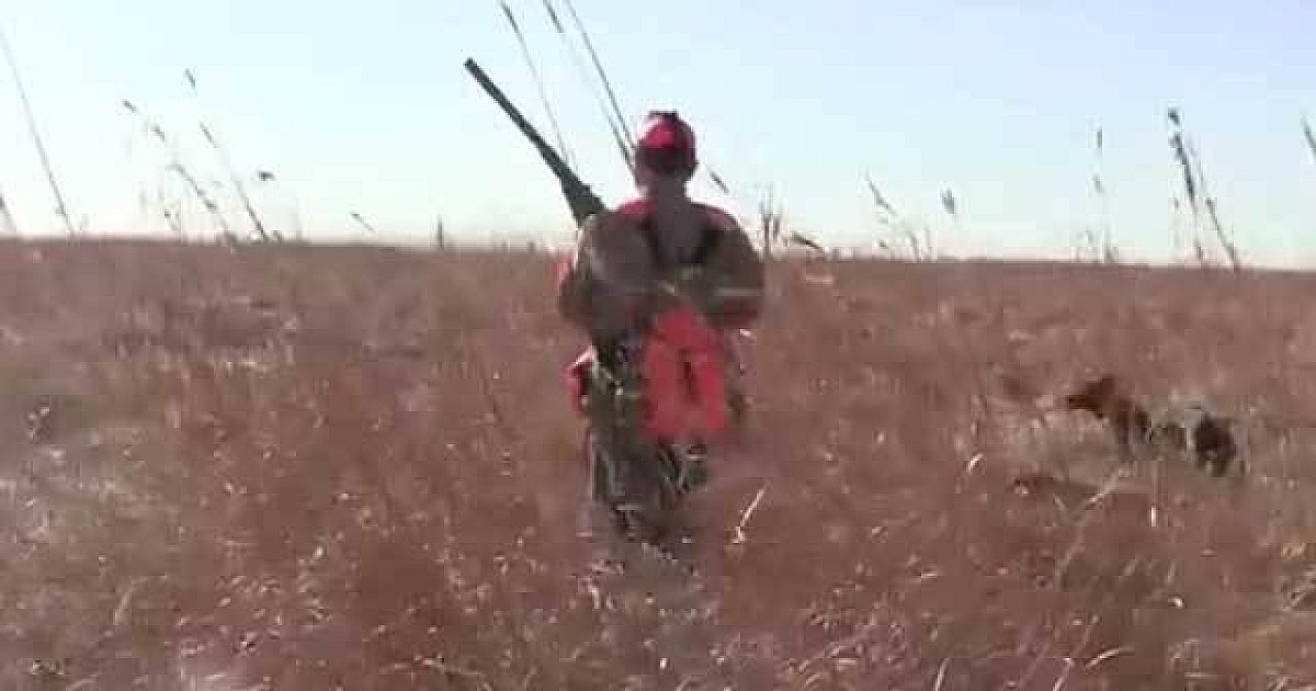 Quail, Pheasant Hunting The Army Way At Fort… | Grand View Outdoors