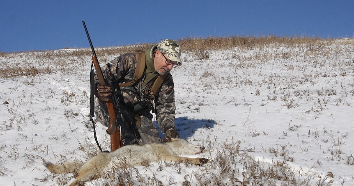 Opinion: A Bright Future for Predator Hunting | Grand View Outdoors