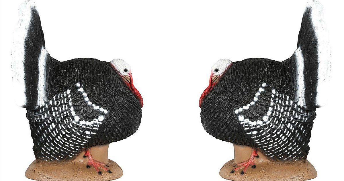 New Strutter Turkey 3-D Target from Delta… | Grand View Outdoors