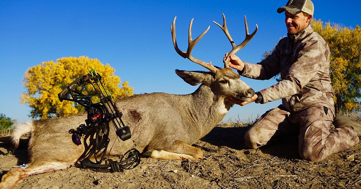 Life Of A Bowhunter 2016: Day 25 | Grand View Outdoors
