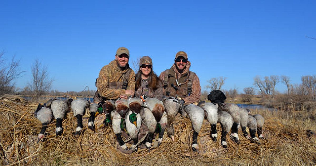 Geese In Kansas Kansas geese over water | Grand View Outdoors