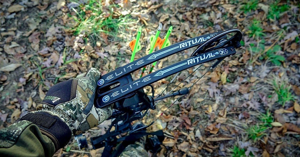 Elite 33 Ritualbow Bow Review: Elite Ritual 35 | Grand View Outdoors