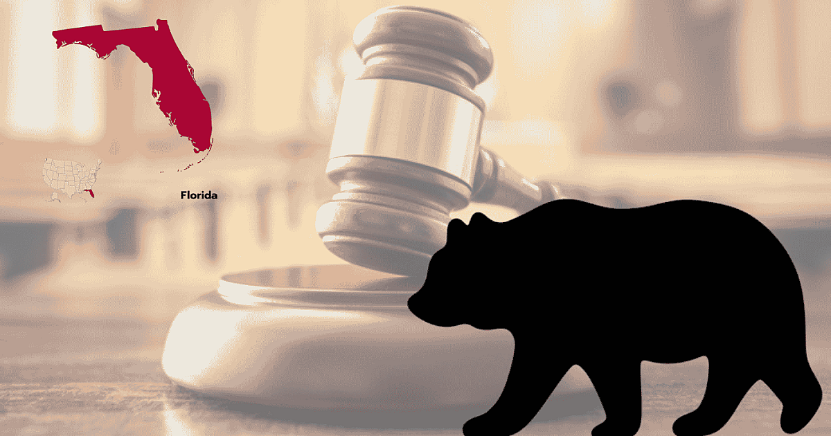 Florida Bear Hunting Lawsuit Moves Forward
