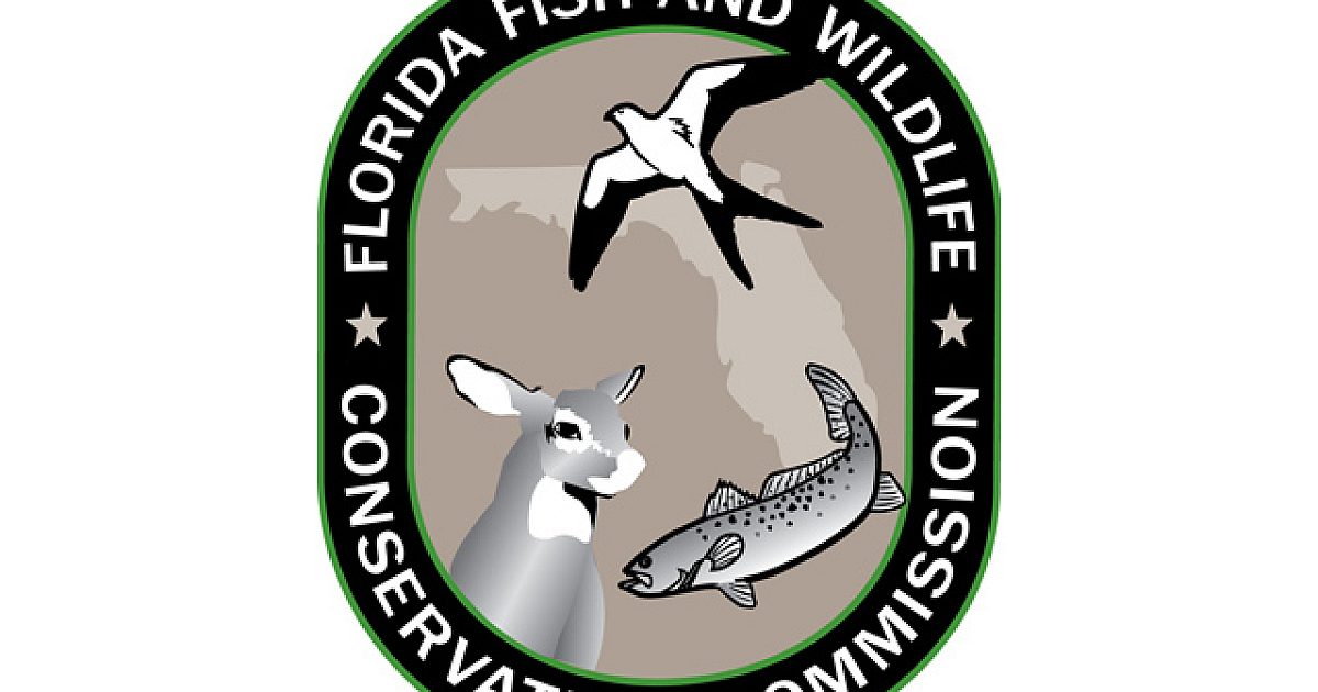 Public invited to give input on bear management | Grand View Outdoors