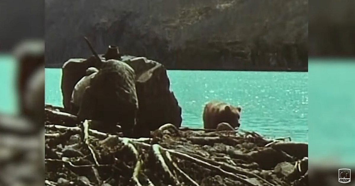 Iconic 1962 Video Footage: Fred Bear’s Giant… | Grand View Outdoors