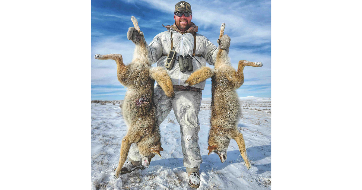 Roid Rage: Hunting the Coyote Rut | Grand View Outdoors