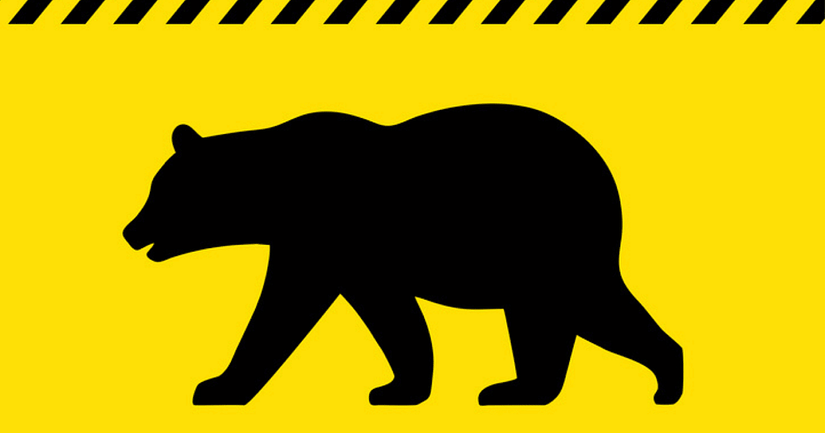 Hunter Kills Charging Grizzly, Saves Himself and Young Son