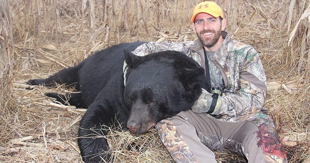 Why You Should Take Advantage Of The Bear Boom | Grand View Outdoors