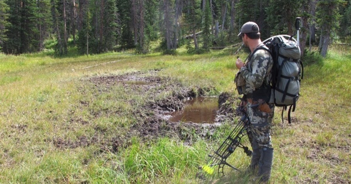 Learn To Alter Your Bowhunt To Match The… | Grand View Outdoors
