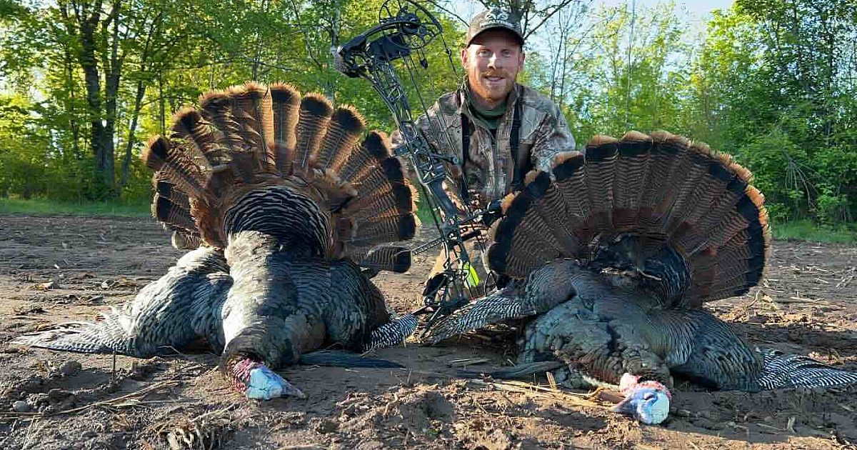 Two Dead Turkeys Turkey Bowhunting Tip: No Blind, No Problem | Grand View Outdoors