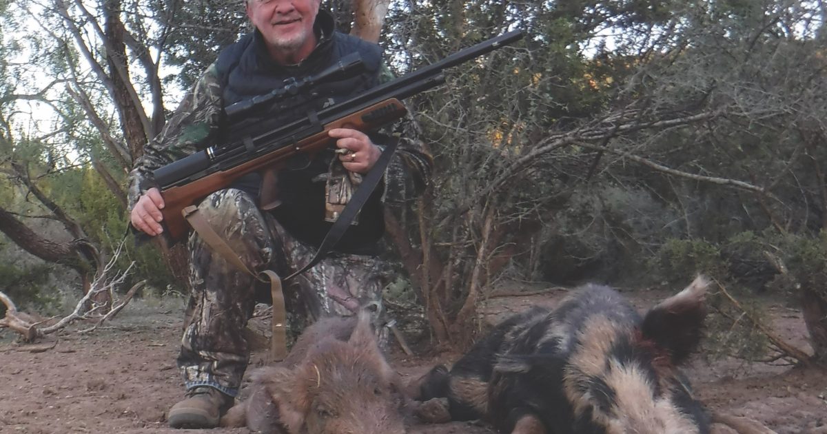 Air Rifle for Hog Hunting: Airgun Boar Tactics… | Grand View Outdoors