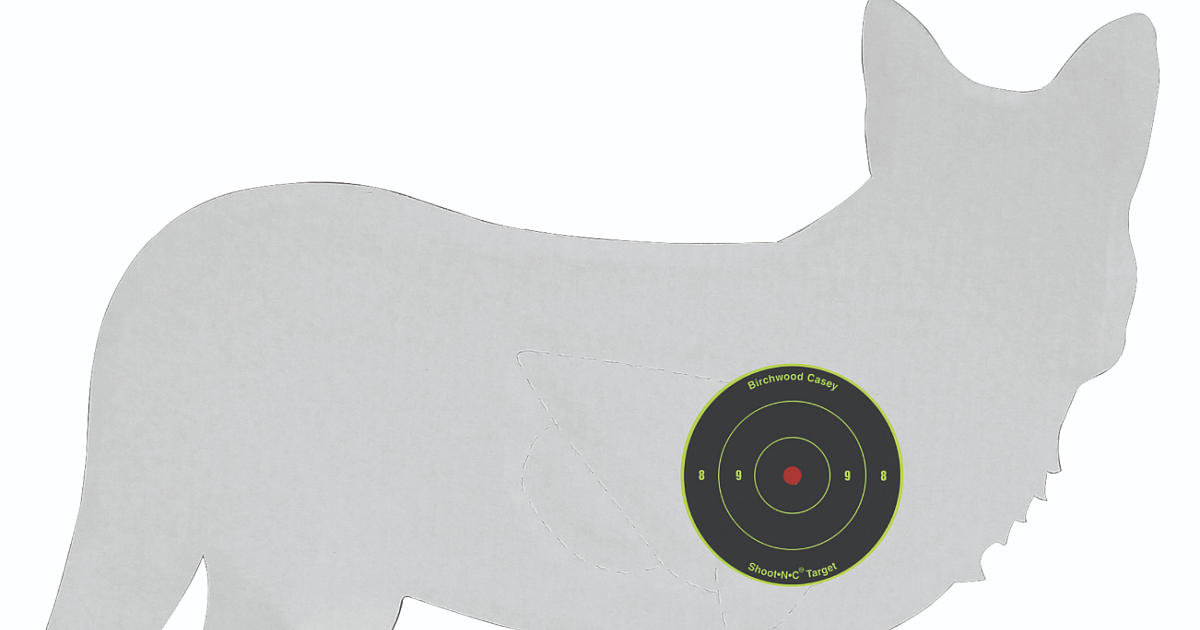 Predator Target. Sign Pattern Your Shotgun to Put Down More Predators | Grand View Outdoors