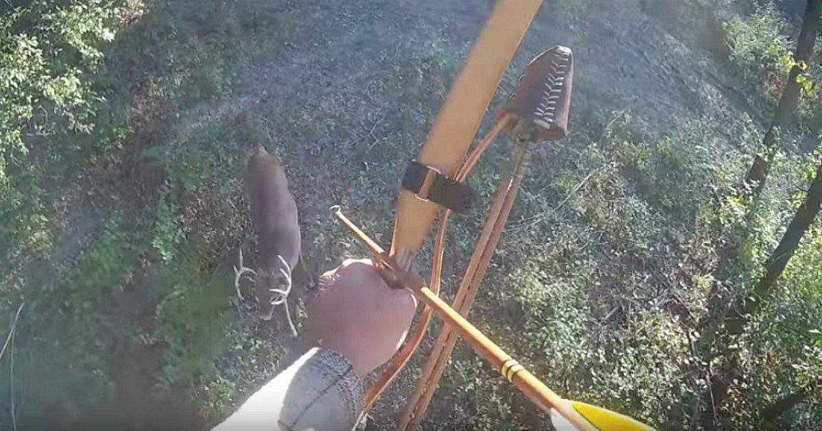 Video: Big 10-Point Buck Arrowed With Self-Made… | Grand View Outdoors