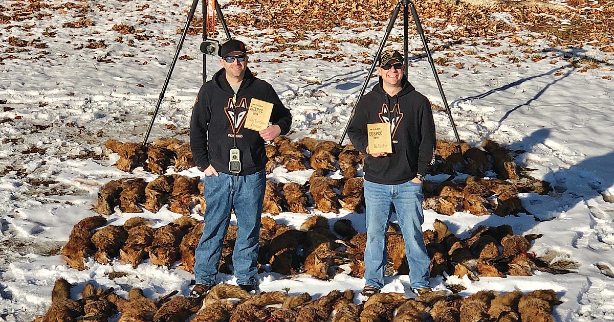 Red Fox Odyssey: Successful Tactics of the Pros | Grand View Outdoors