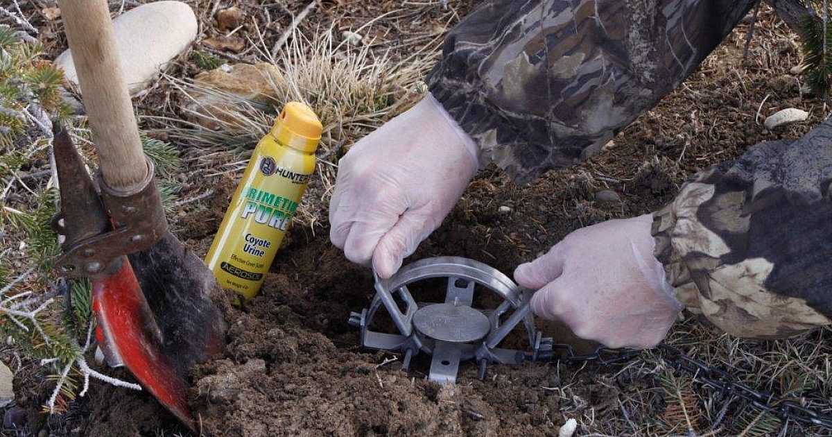 An all-in-one trapping kit to get you started | Grand View Outdoors