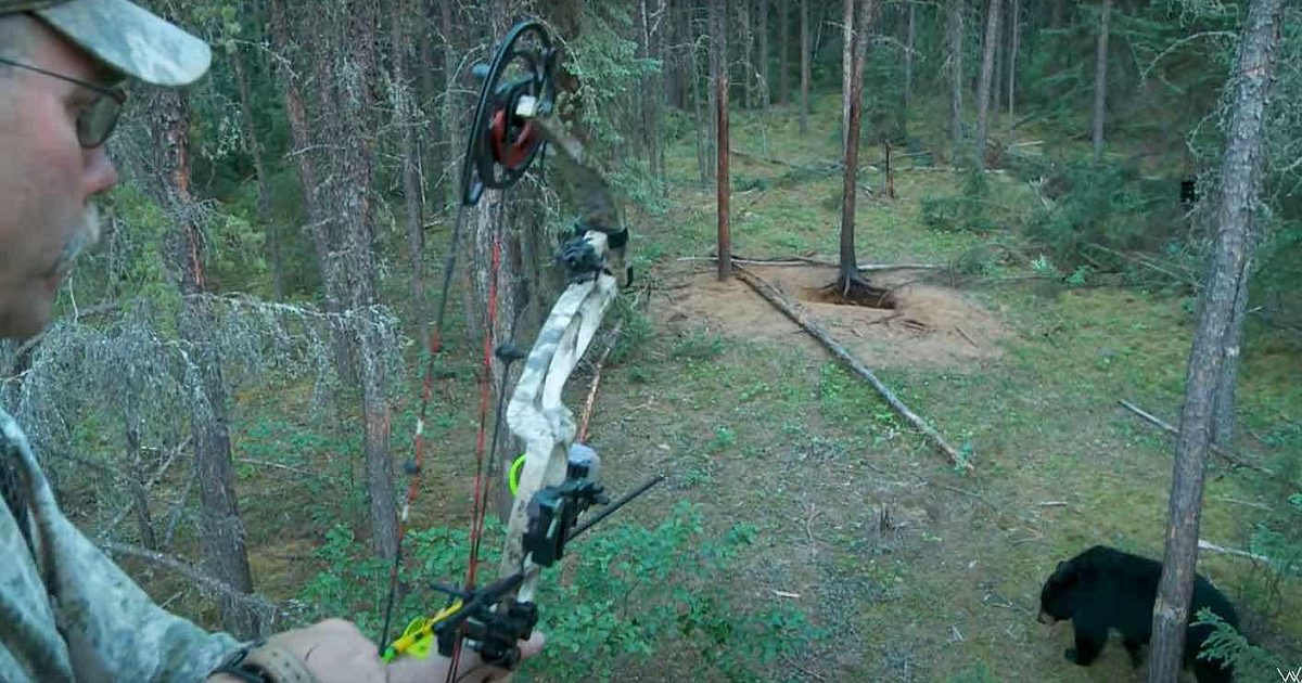 Video: Epic Saskatchewan Bowhunt for a Huge… | Grand View Outdoors