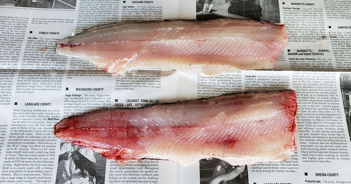 The Benefits of Bleeding Fish: Why and How to… | Grand View Outdoors