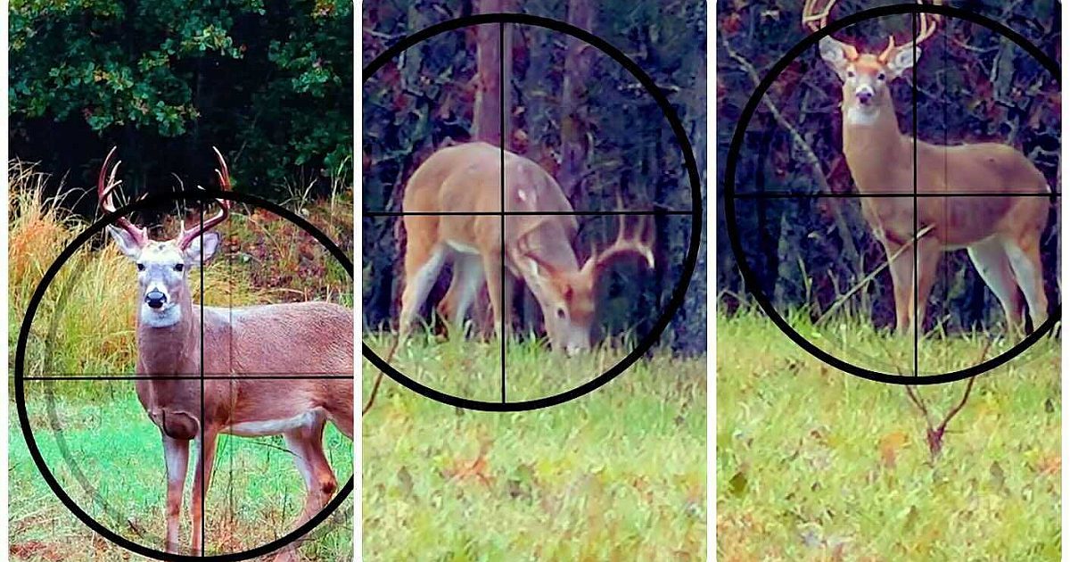 Video: Where to Aim on a Quartering-Toward Deer… | Grand View Outdoors