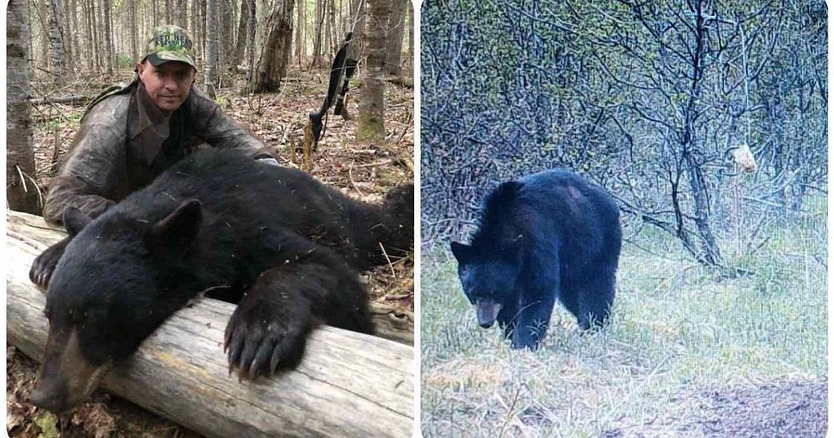 Video: 6 Key Differences for Spring vs. Fall… | Grand View Outdoors