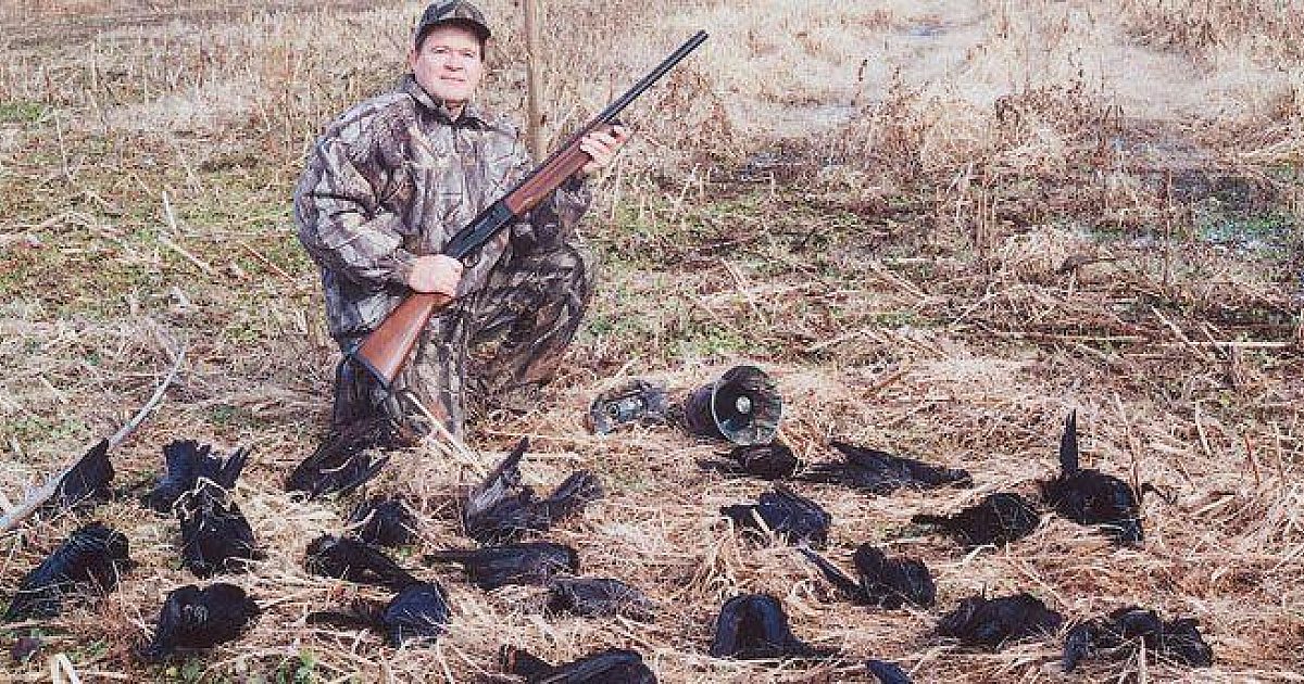 Crow Hunting Tips and Techniques | Grand View Outdoors