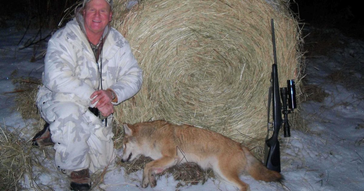 Night Hunting Predators With The CoyoteLight | Grand View Outdoors