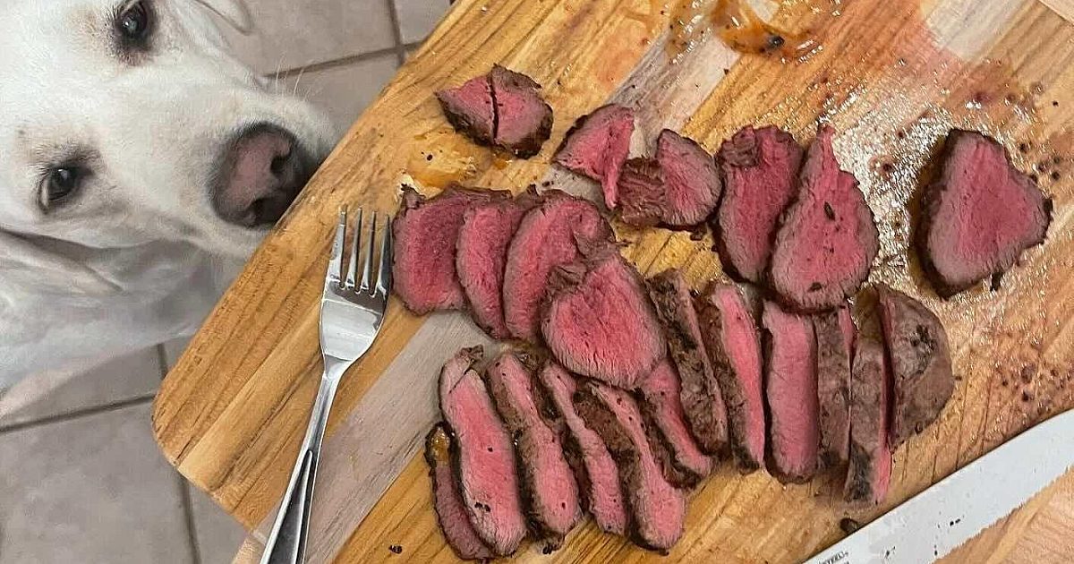 Video: How NOT to Ruin a Great Cut of Venison | Grand View Outdoors