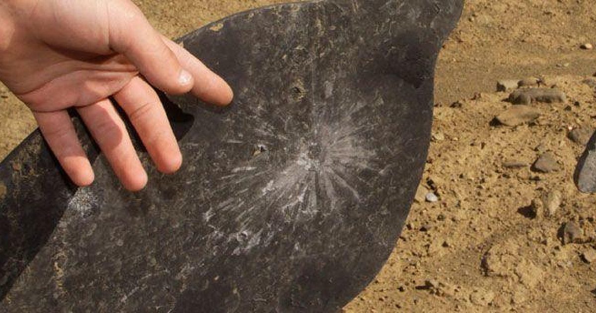 Plinking for predator practice | Grand View Outdoors